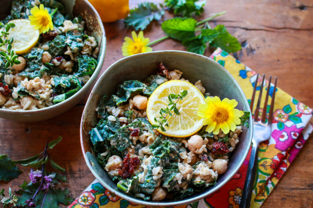 15 Plant-Based Back to School Recipes