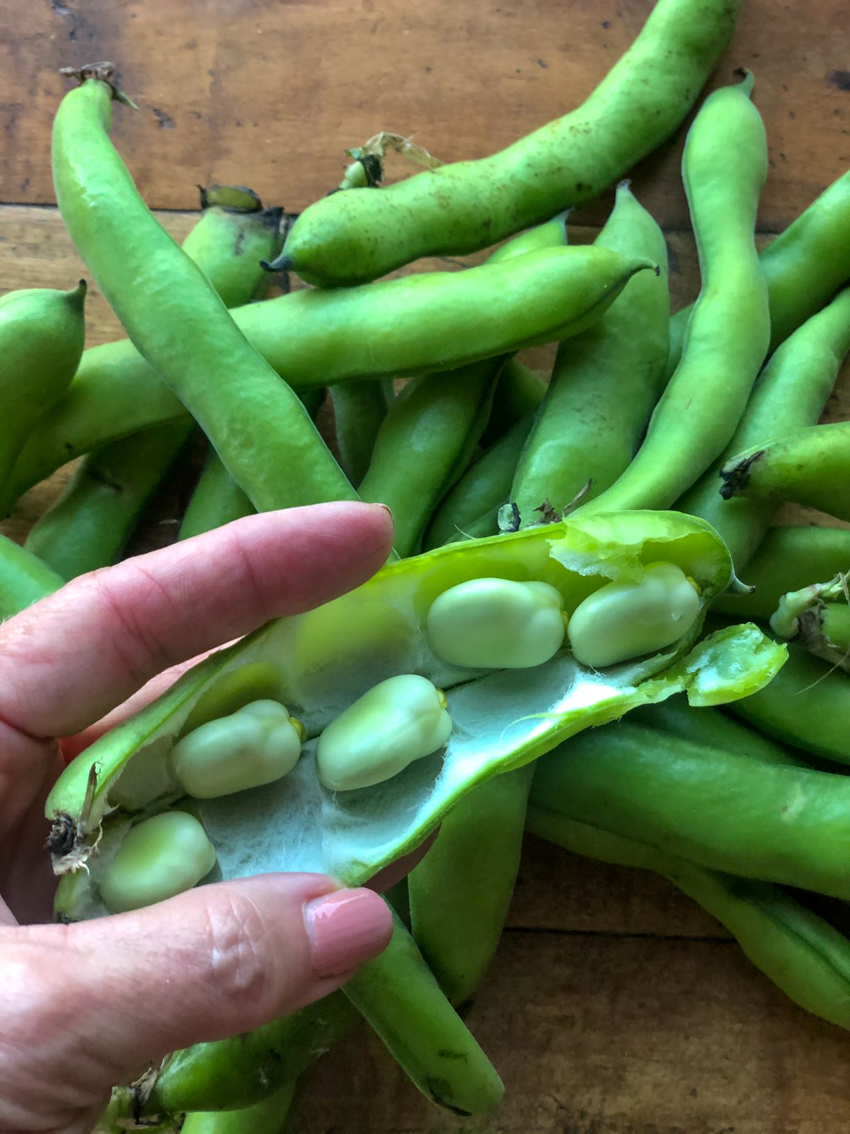 Top 5 Ways to Use Fava Beans - Sharon Palmer, The Plant Powered Dietitian