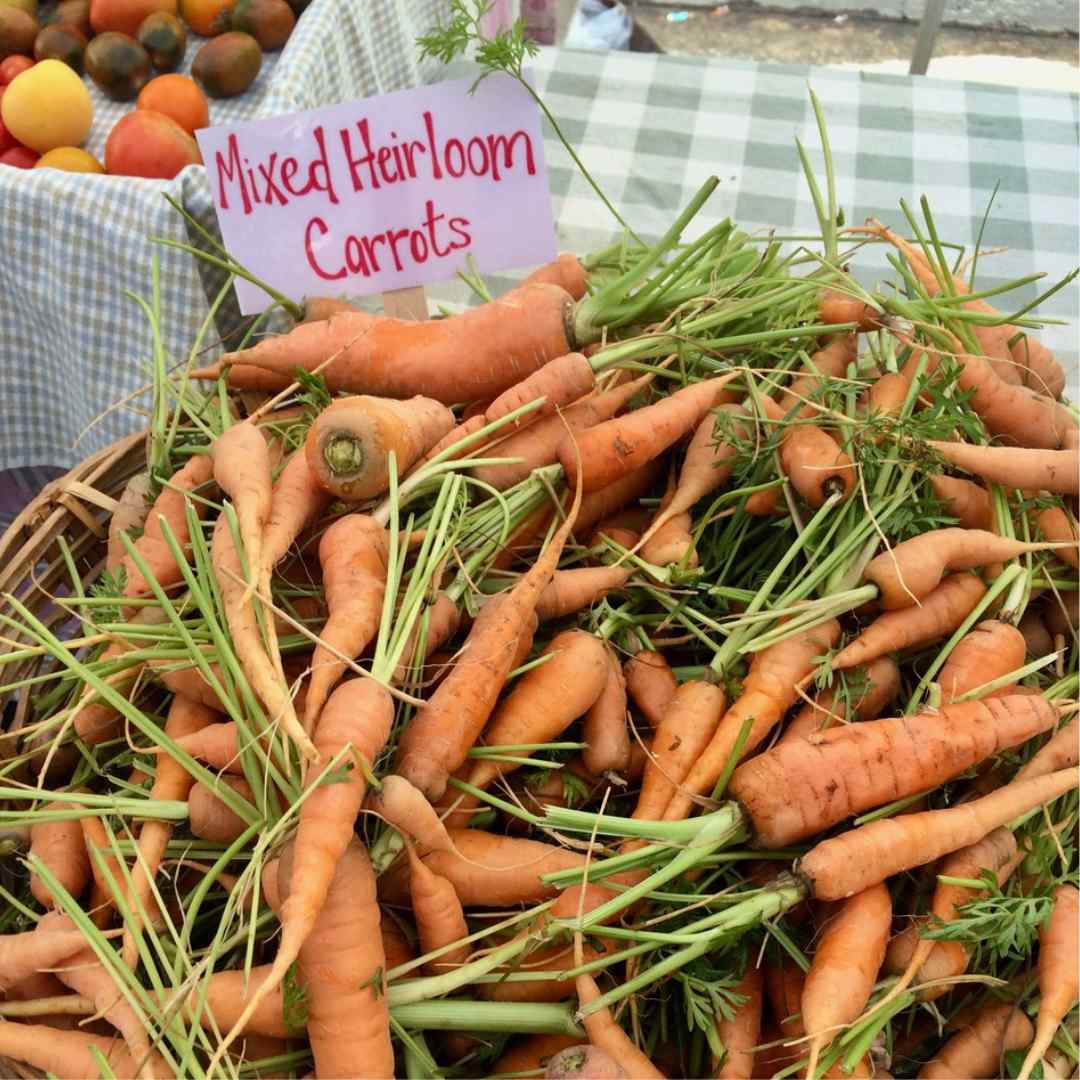 3 Easy Ways to Make Shredded Carrots - The Feathered Nester