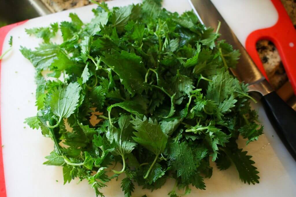 How to Cook With Stinging Nettle - Sharon Palmer, The Plant Powered  Dietitian