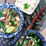 Vegetable Tofu Pho – Sharon Palmer, The Plant Powered Dietitian
