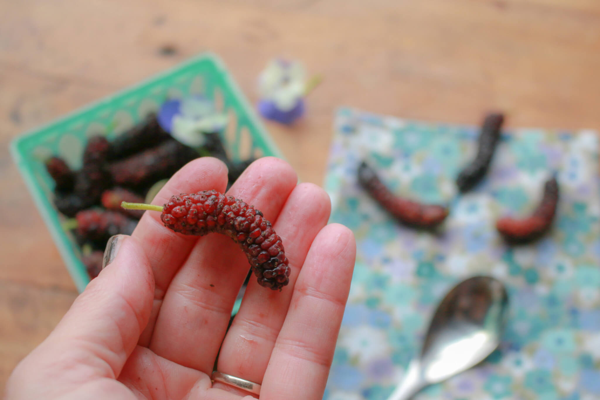 Top 5 Ways to Use Mulberries