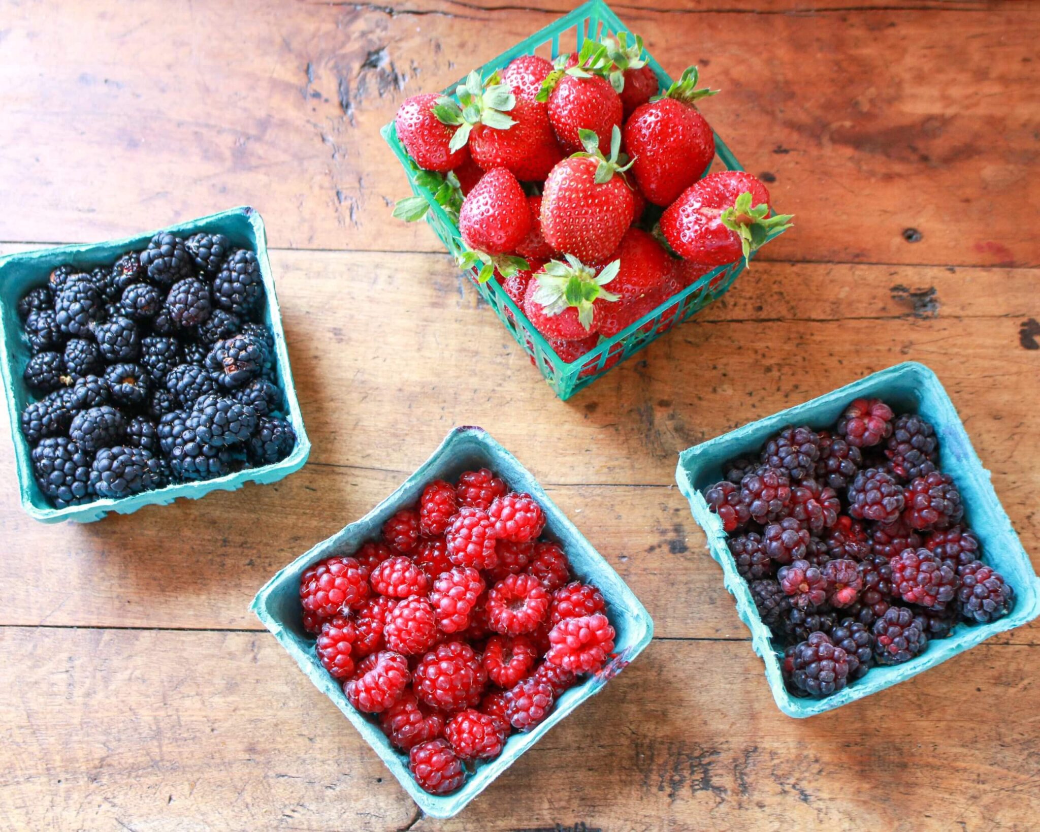 Fall in Love with Summer Berries! - Sharon Palmer, The Plant