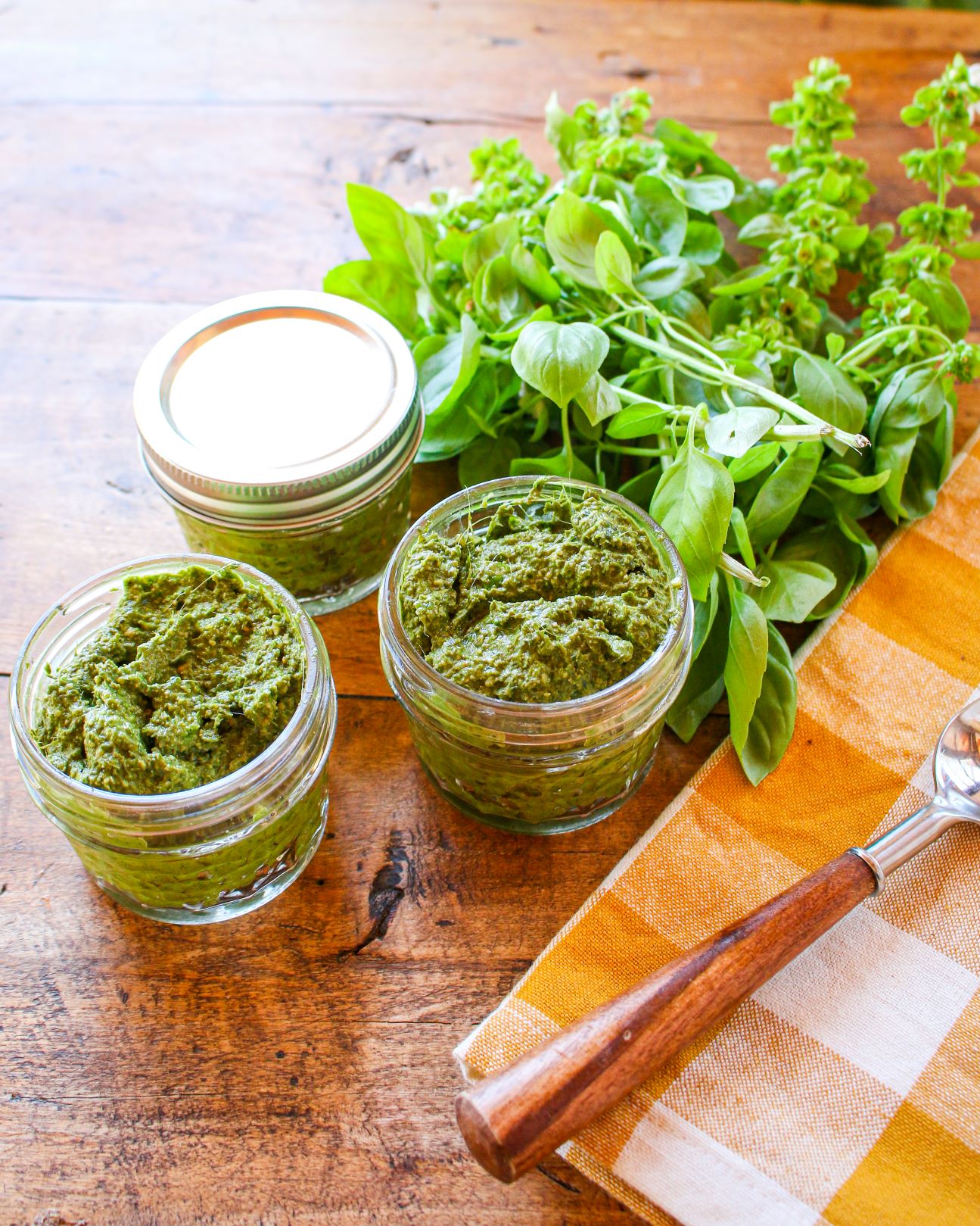 Basic Vegan Basil Pesto – Sharon Palmer, The Plant Powered Dietitian